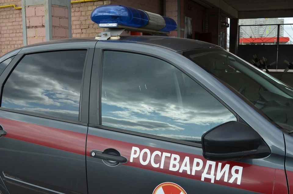 Любителя сыра задержали росгвардейцы