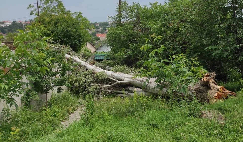 Севастополь после урагана