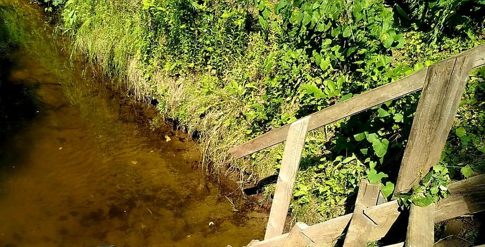 В области продолжает расти число жертв на воде