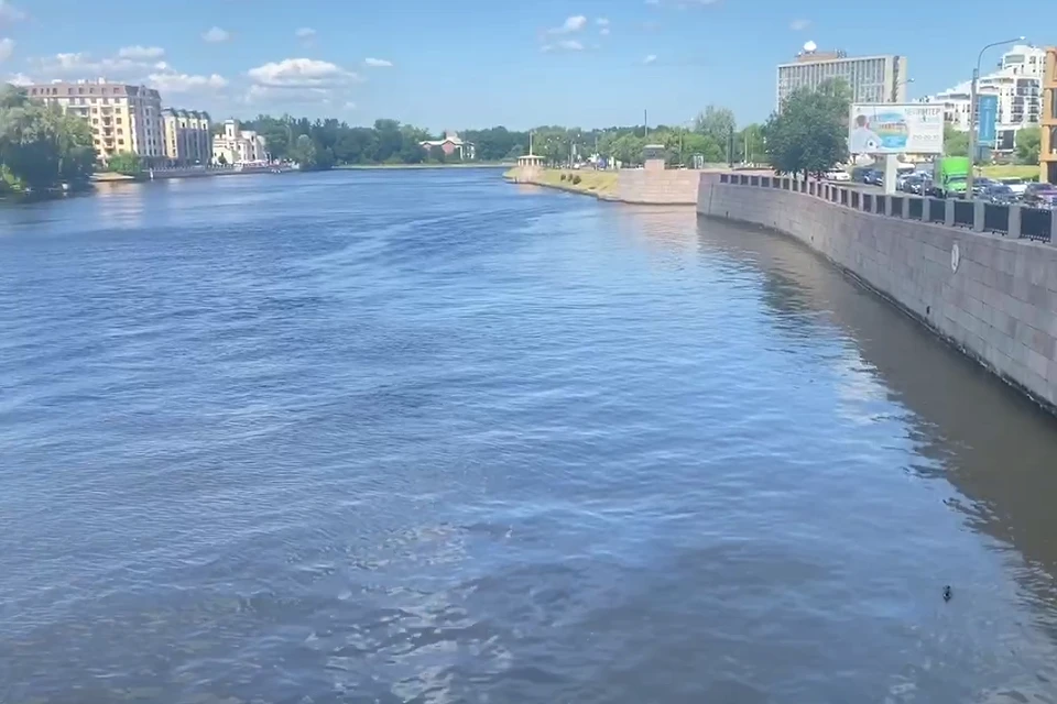 Специалисты выясняют причины загрязнения Малой Невки. Фото: Росприроднадзор по СЗФО.