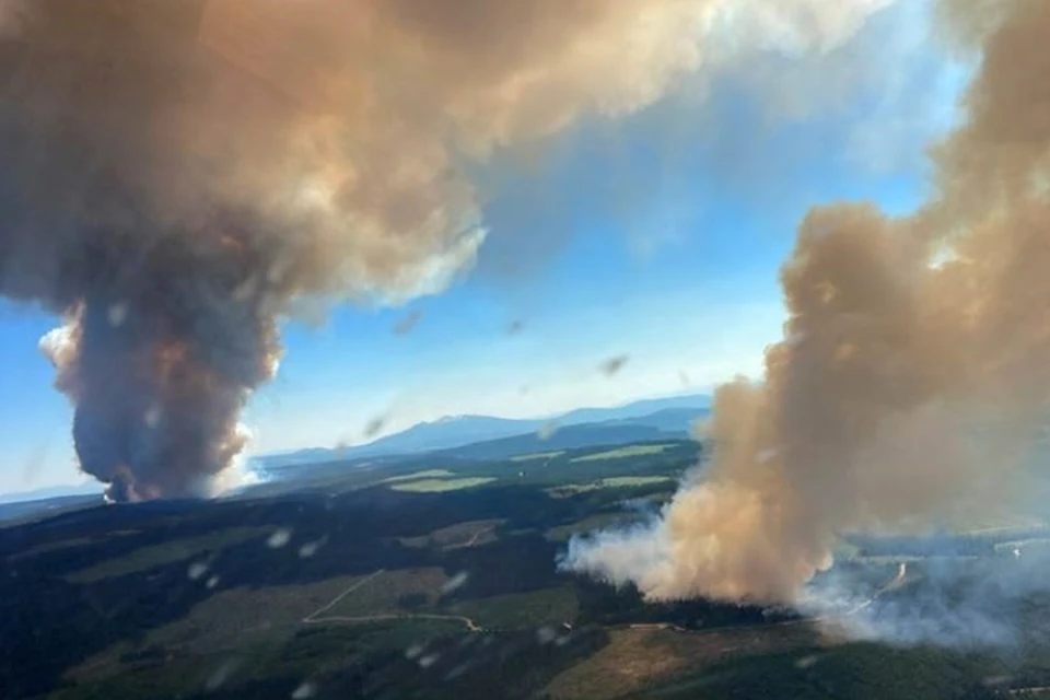 Из-за лесного пожара в канадской провинции Британская Колумбия сгорела целая деревня
