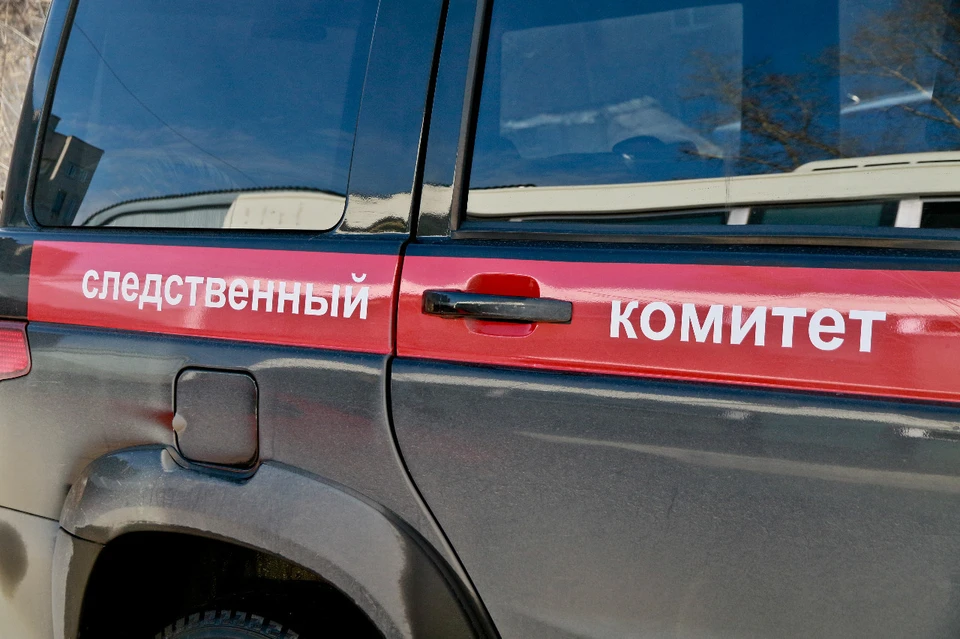 Расследование уголовного дела продолжается.
