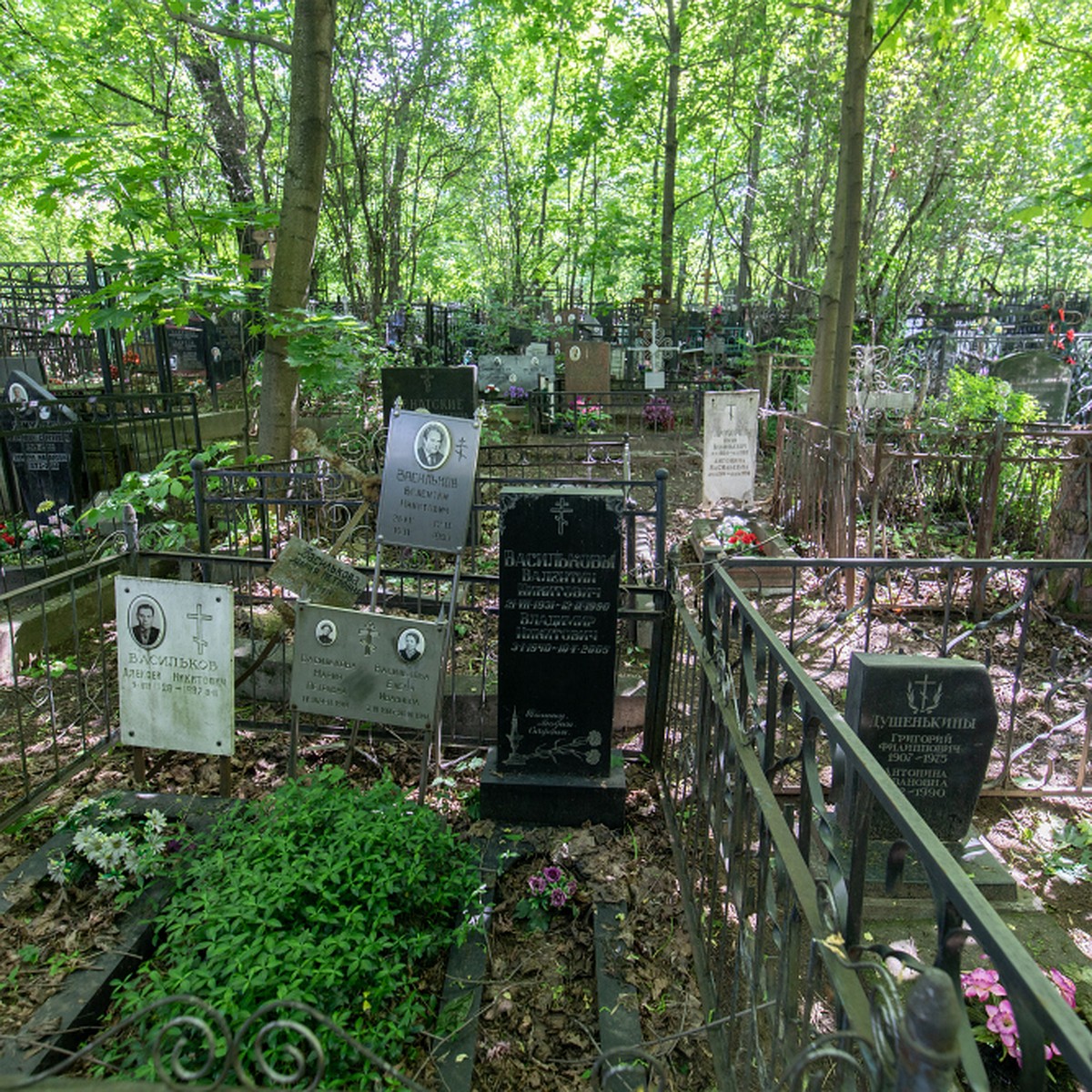 Инское кладбище Новосибирск