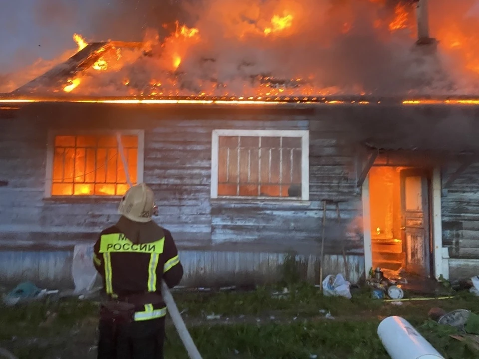 Пожар в Гороховецком районе. Фото с сайта ГУ МЧС по Владимирской области