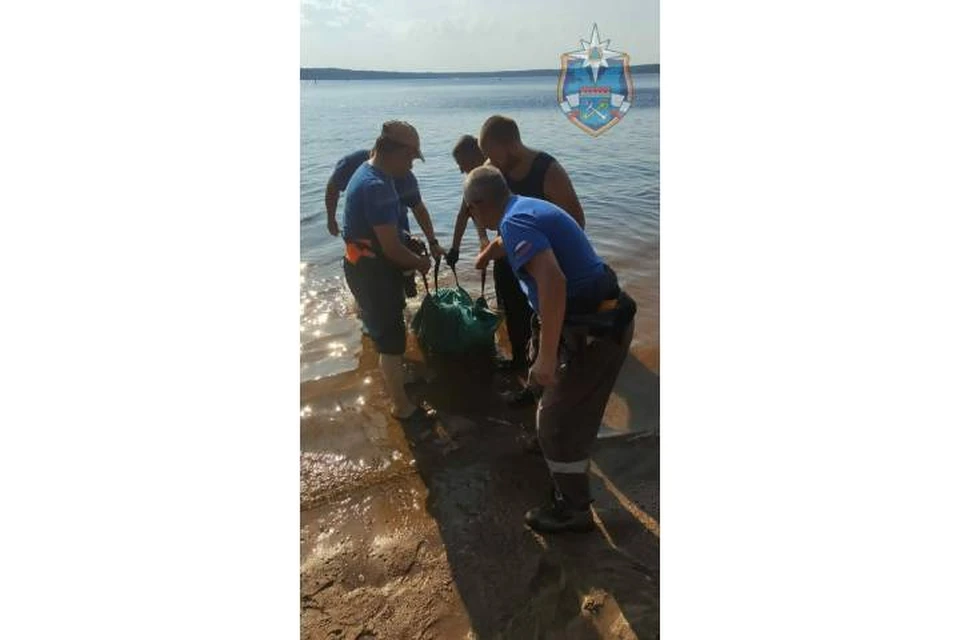 10-летний мальчик утонул в Большом Симагинском озере в Ленобласти / Фото: аварийно-спасательная служба Ленобласти