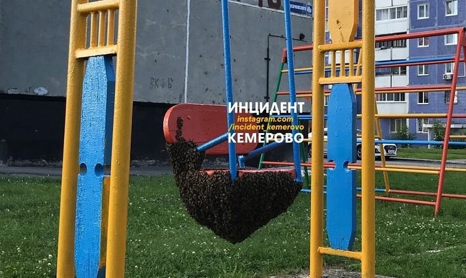 В Кемерове рой пчел оккупировал детскую площадку. Фото: ВКонтакте/incident_42.