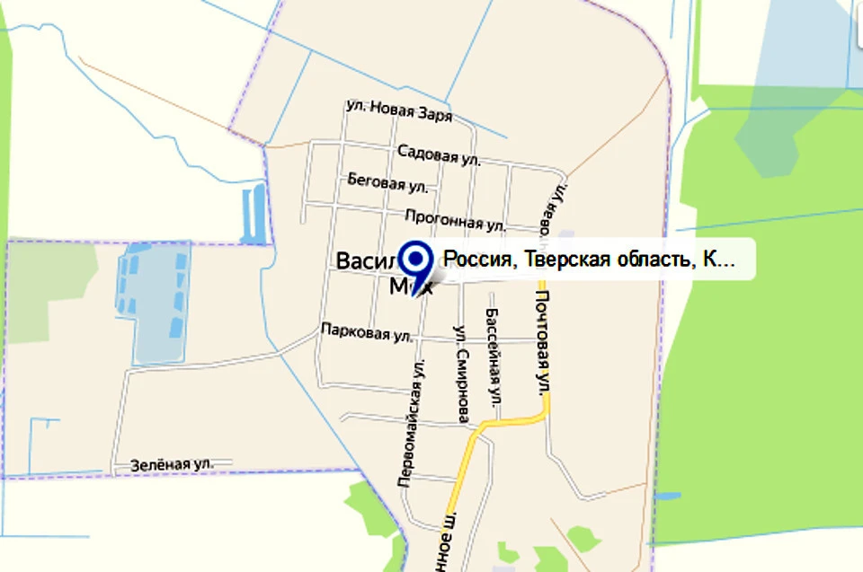 Поселок находится в 21 км от Твери. Фото: гугл карты/скрин
