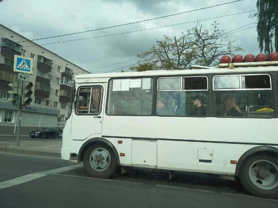 Сейчас по Курской области ездят 324 школьных автобуса