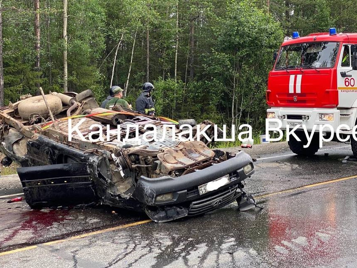 В Кандалакшском районе в ДТП погибли водитель и собака - KP.RU