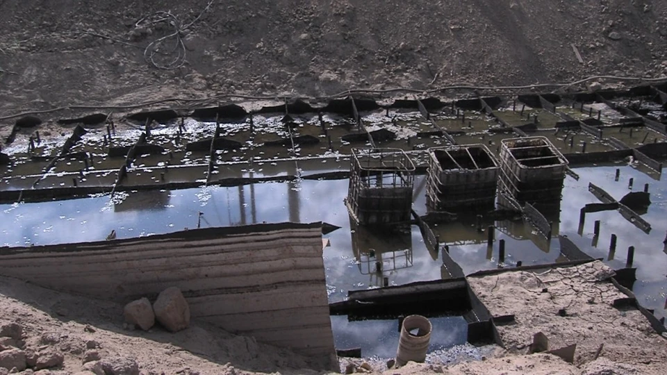 Охотники за чёрным металлом стали причиной гибели множества рыб в Астраханской области