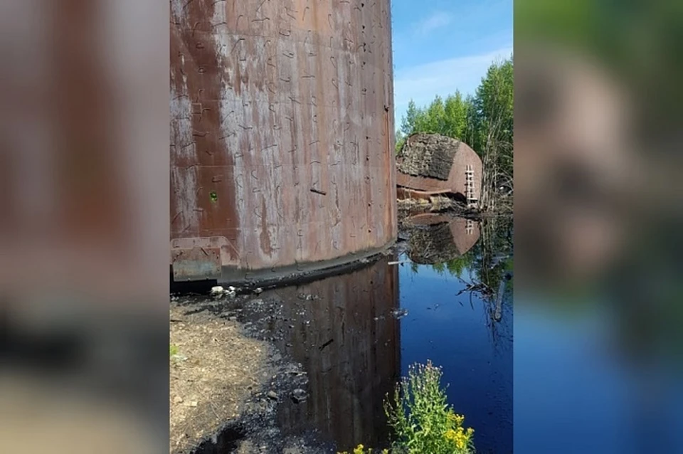 Фото: пресс-служба Роприродназора