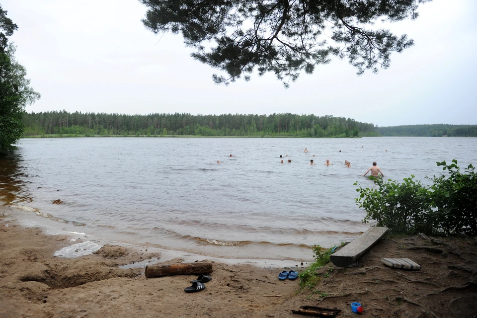 В Ленобласти за лето утонули 60 человек.