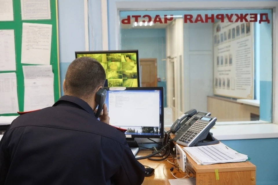 Волгоградцы каждый день приходят в полицию и пишут заявления на онлайн-мошенников.