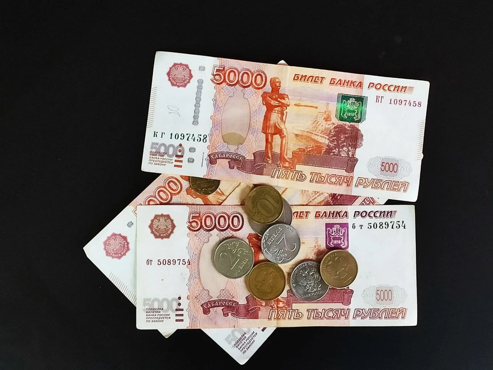 На выплаты из регионального бюджета направили 63 млн рублей
