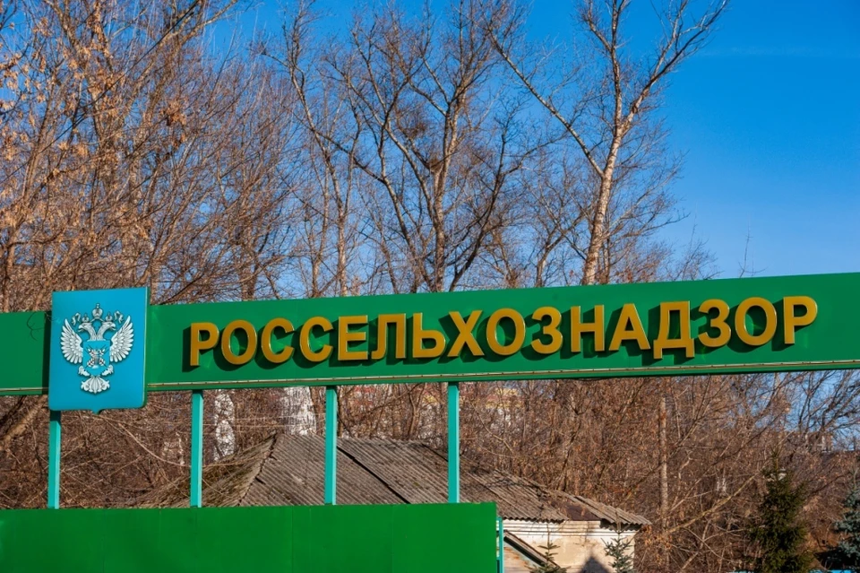 В филе цыплят орловского производителя нашли избыток лекарств