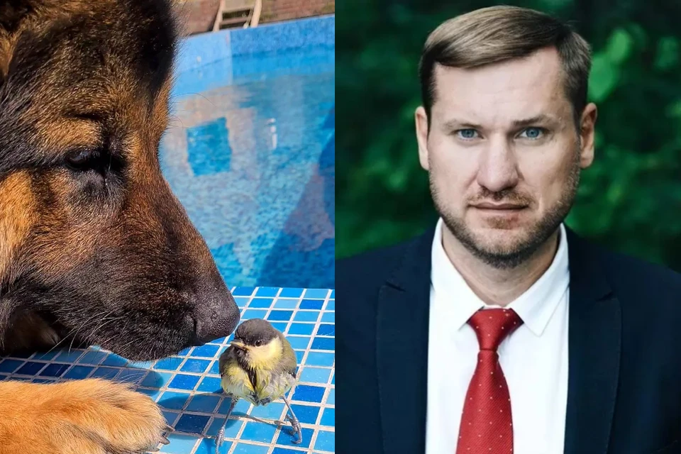 Последние новости на 23 июля 2021 года. Фото: предоставлены Андреем Харченко \\ Константином Терещенко