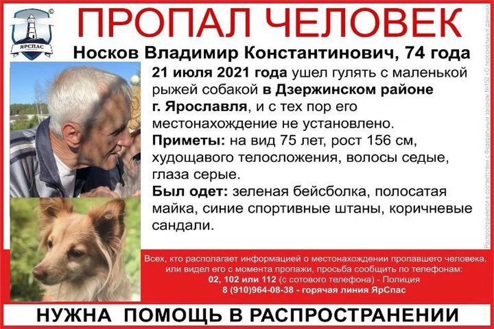 Владимир пропал 21 июля вместе со своим питомцем. Фото: поисковый отряд «ЯрСпас»