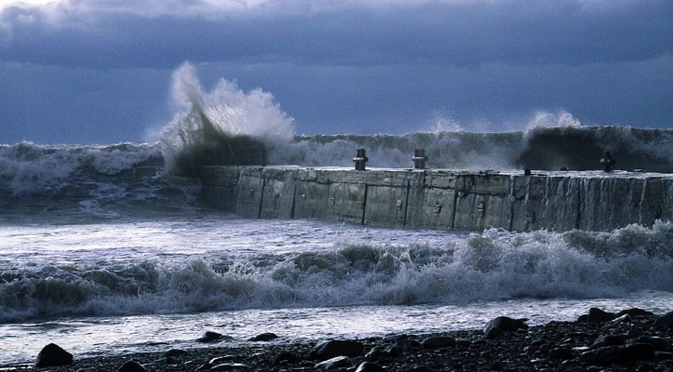 Фото: sochi.ru.