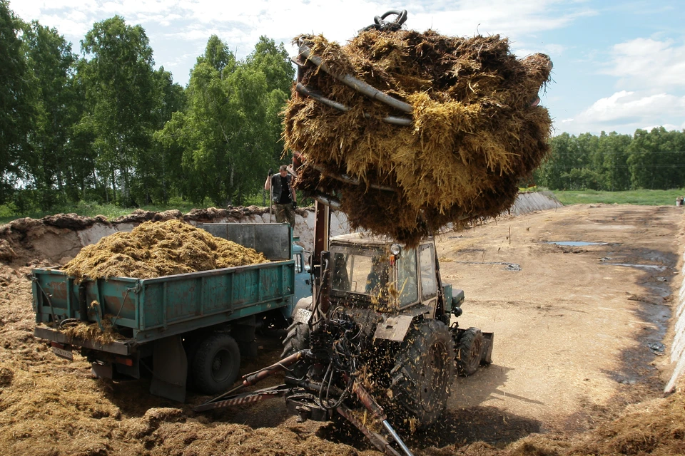 В районах Томской области сельчане активно косят сено и готовят сенаж