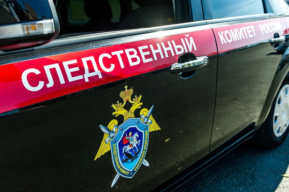 Глава СК проконтролирует расследование дела горе-матери, избившей сотрудницу полиции в Петербурге.