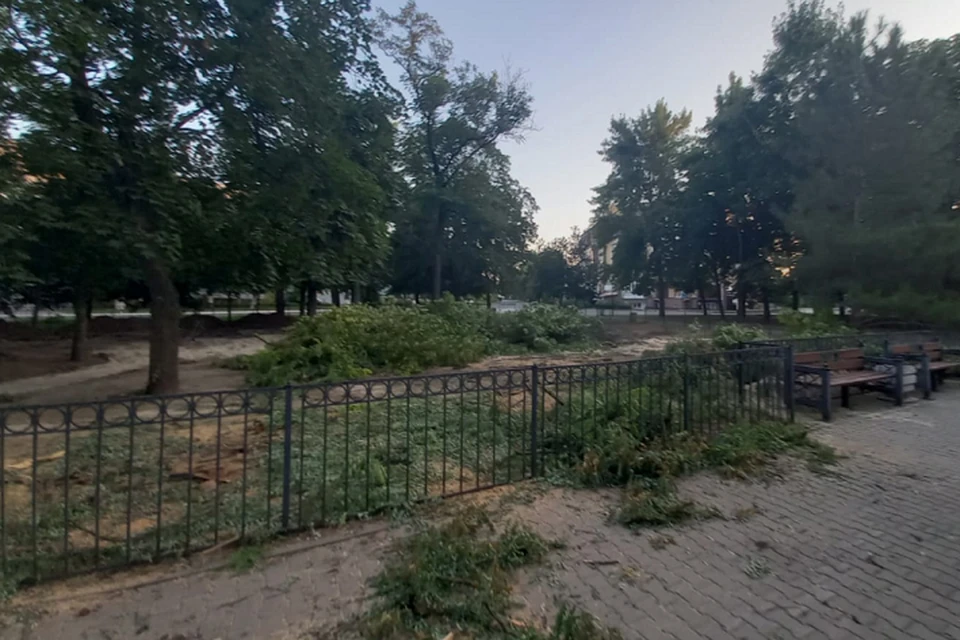 В рамках благоустройства вырубили несколько деревьев. Фото: группа в VK «Мой Таганрог»