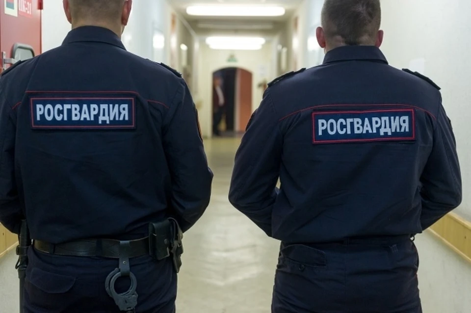 Нарушителю грозит тюремный срок