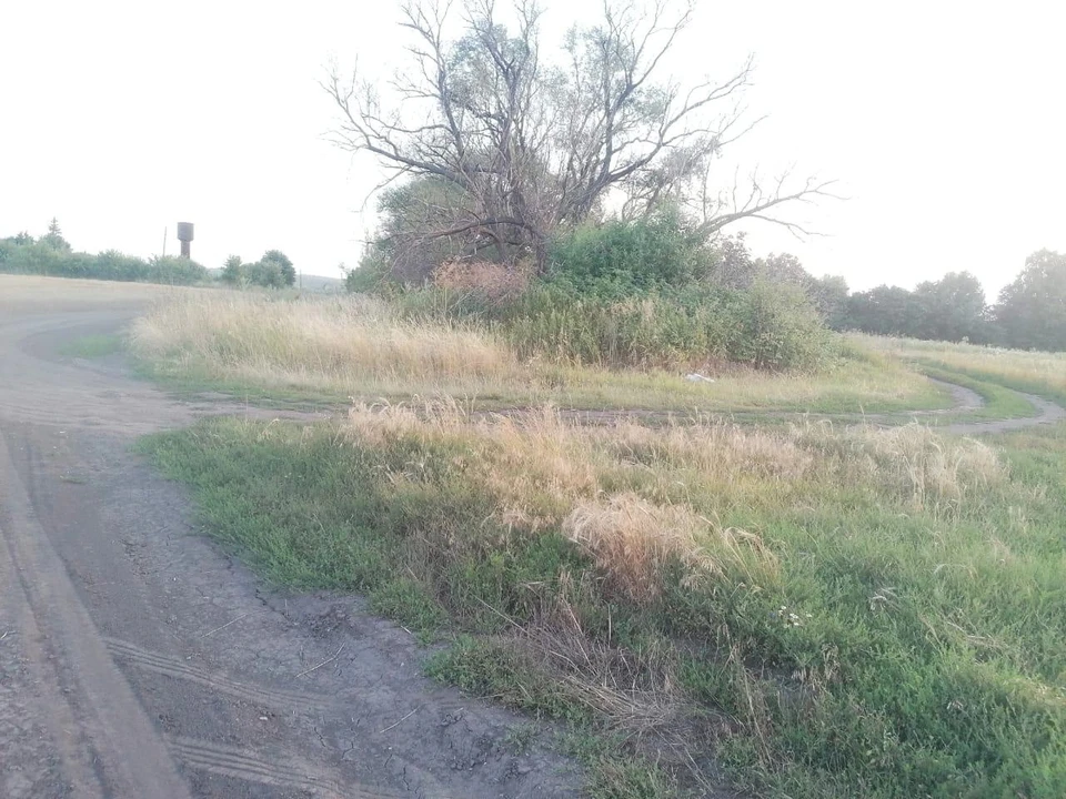 В Ливенском районе пострадали подростки, опрокинувшиеся на мопеде. Фото Госавтоинспекции по Орловской области.