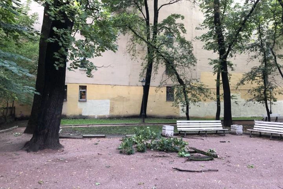 МЧС рассказало о последствиях ливня в Петербурге 2 августа