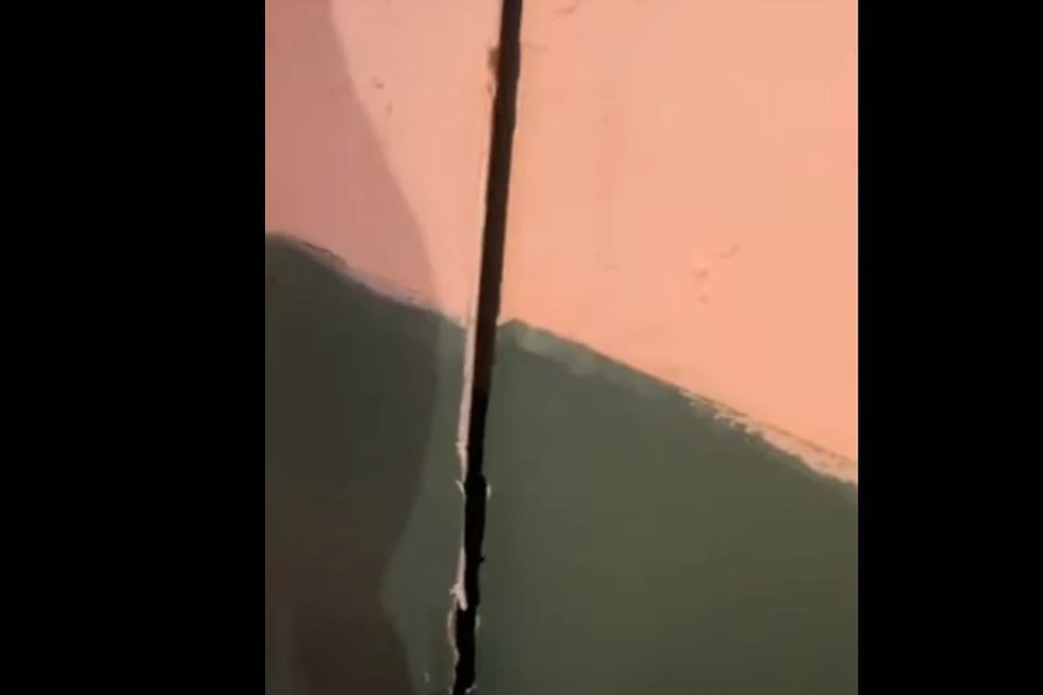 В домике. Скриншот с видео на сайте "Толк"