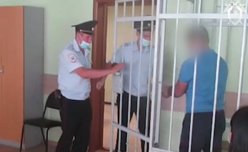 Суд учел смягчающие обстоятельства и поместил организатора группы лжеюристов под домашний арест, а не в СИЗО.
