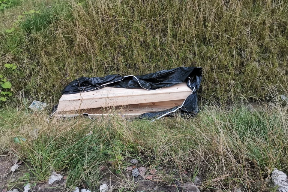 В Ленобласти обнаружили гроб на обочине трассы М-11. Фото: vk.com/spb_today