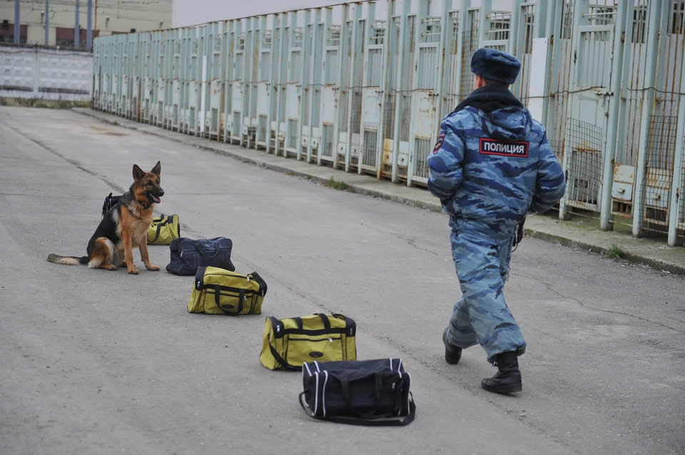 Трое задержанных заключены под стражу, двое находятся под подпиской о невыезде.