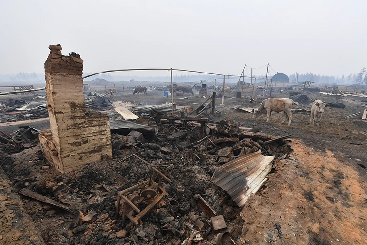 Пожары в Якутии: огонь уничтожил десятки домов в селе Бясь-Кюёль, сотни человек эвакуированы