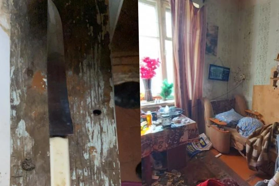 Квартирантку обвиняют в убийстве новосибирца. Фото: пресс-служба СУ СКР по Новосибирской области
