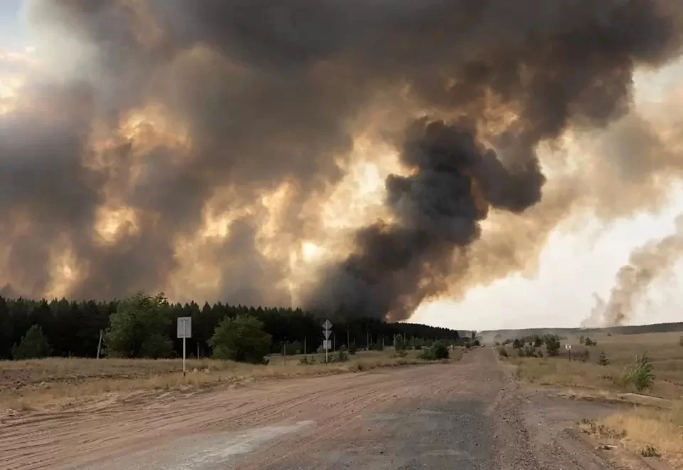 Лесные пожары в Самарской области стали причиной приостановки движения поездов. Фото: соцсети