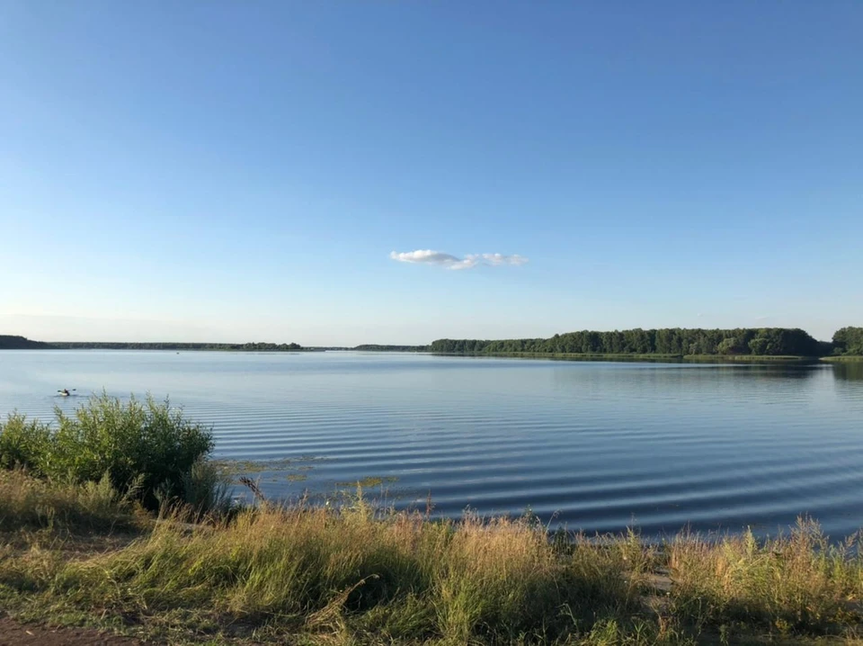 Шушпанское водохранилище тамбовской области фото