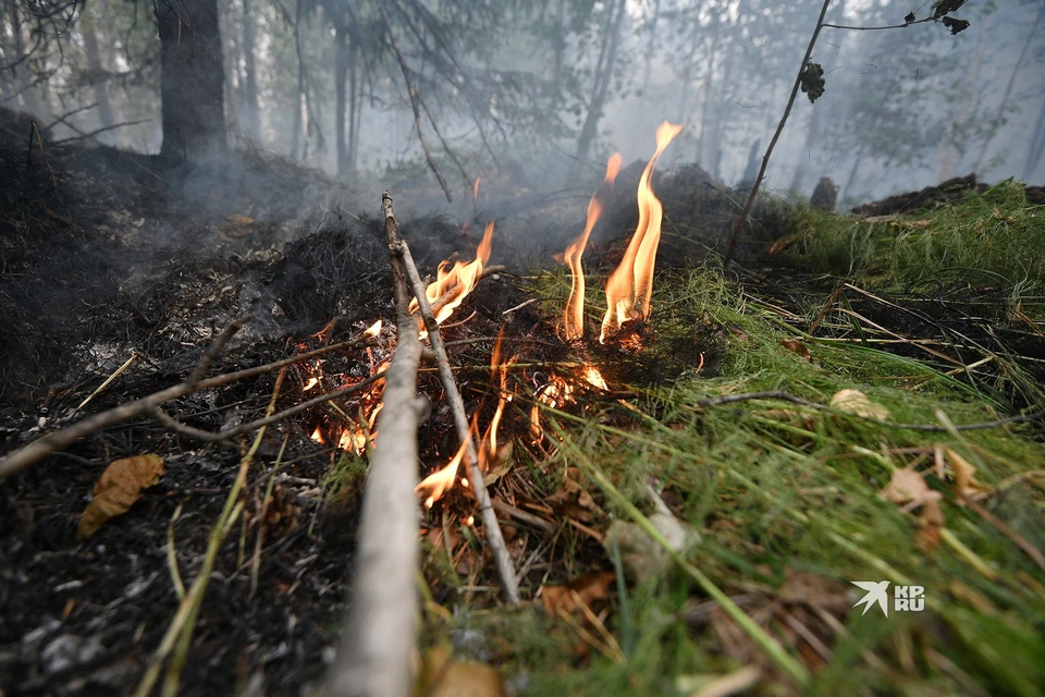 В Свердловской области действует около 60 лесных пожаров.