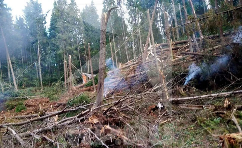 Место падения Су-24 в Пермском крае.