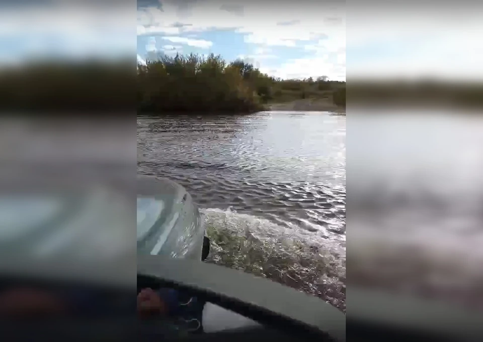 Фото: скриншот видео Алексея Гороховского