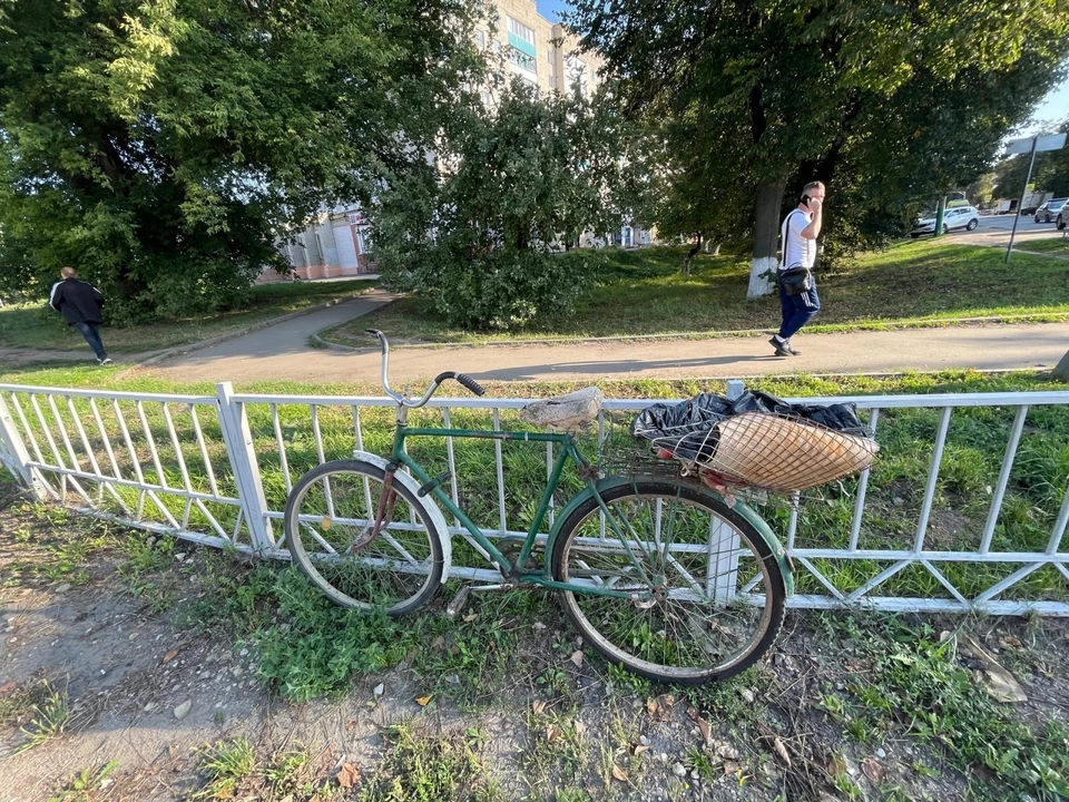 В Мценске велосипедист попал в больницу после столкновения с «ГАЗом». Фото Госавтоинспекции Орловской области.