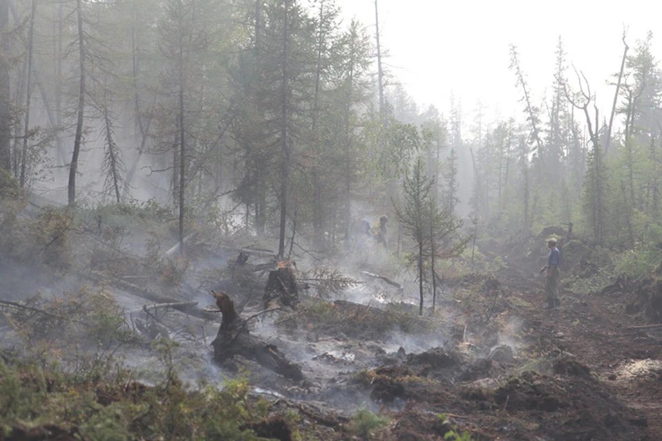 Около 580 гектаров горящей тайги потушили за сутки в Иркутской области