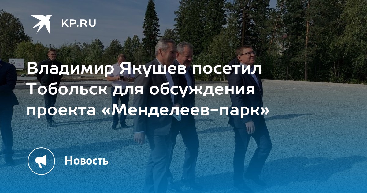 Менделеев парк тобольск проект