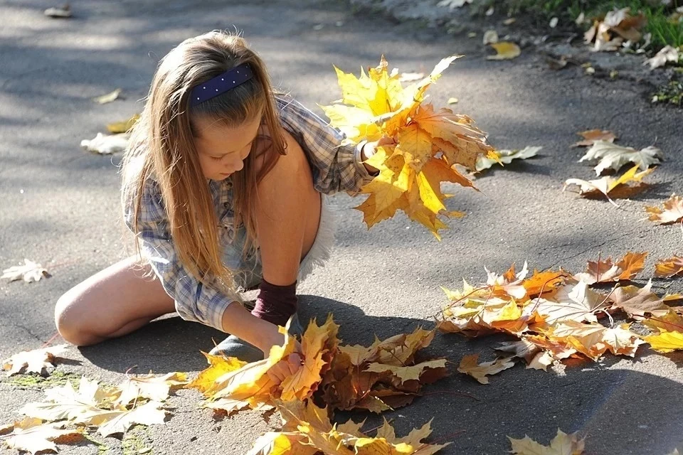 Тишковец рассказал, когда в Москву придет золотая осень и бабье лето