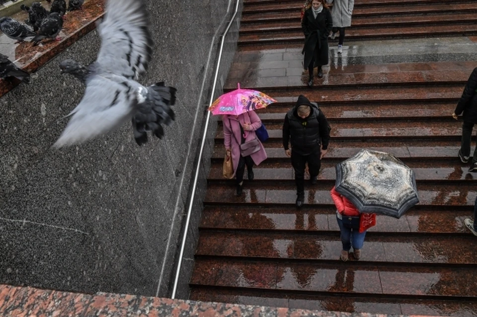 Погода в Нижнем Новгороде в выходные 4-5 сентября: Холодно и дождливо