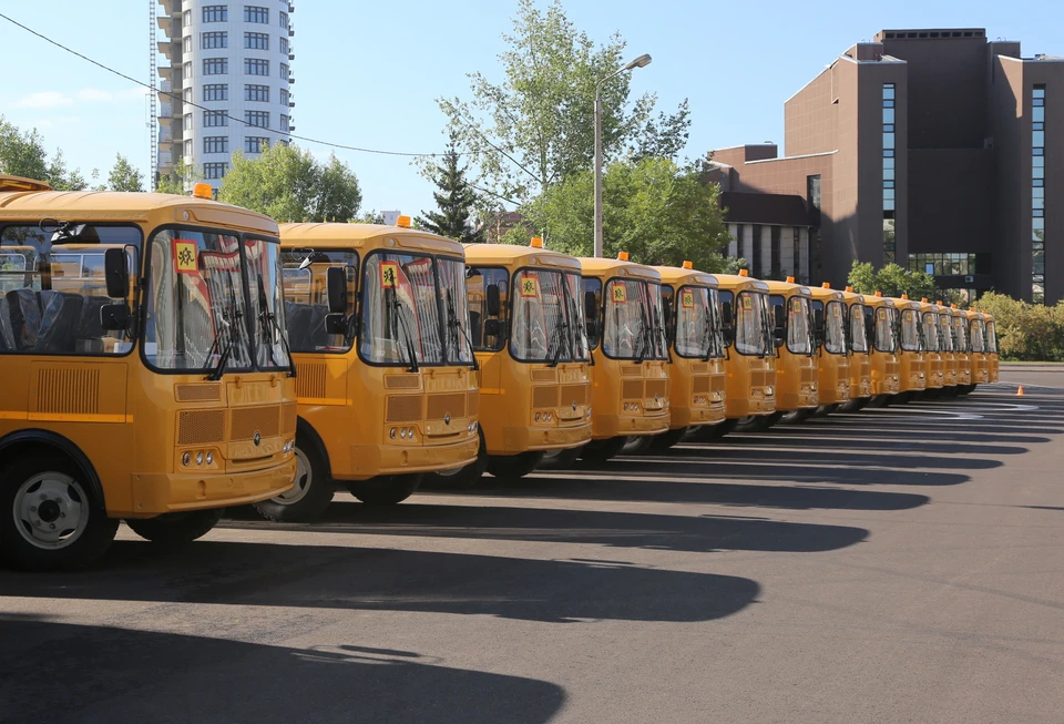 90 новых автобусов закупили для школ в Красноярском крае. Фото: правительство Красноярского края