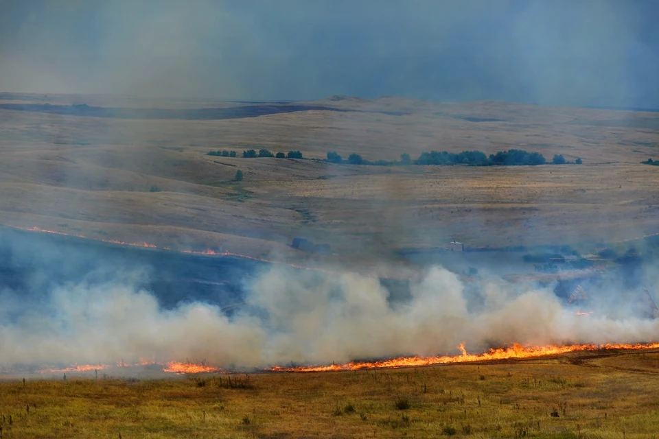В Новосибирской области участились ландшафтные пожары.