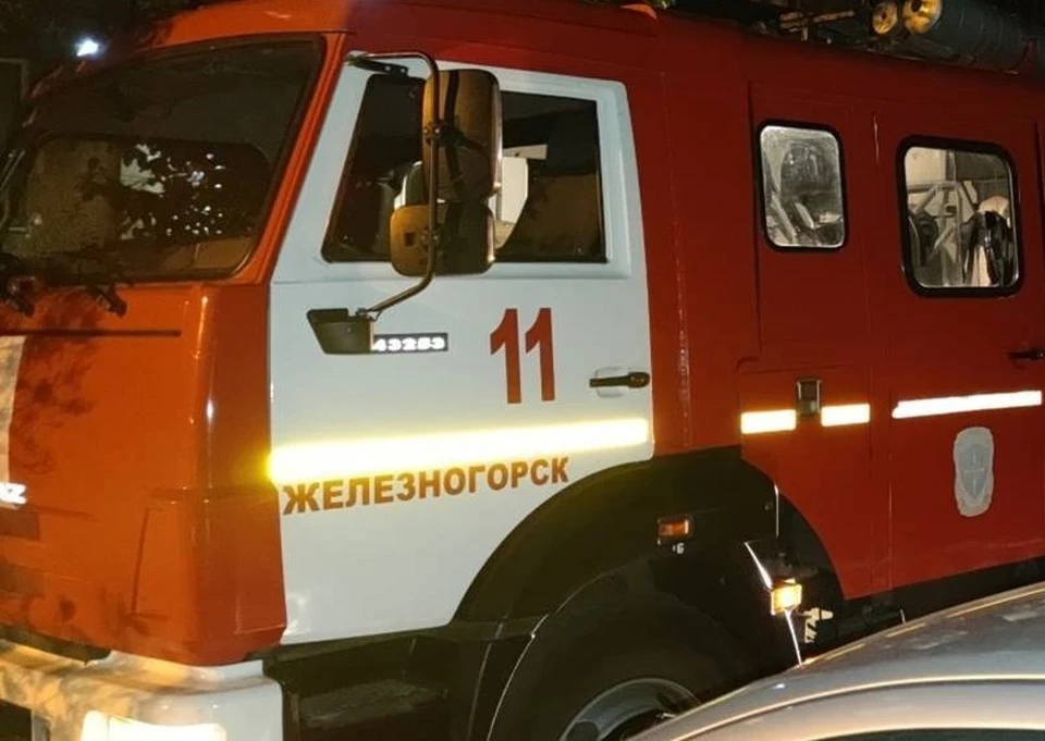 Для спасения двоих взрослых на пятом этаже понадобилась автолестница