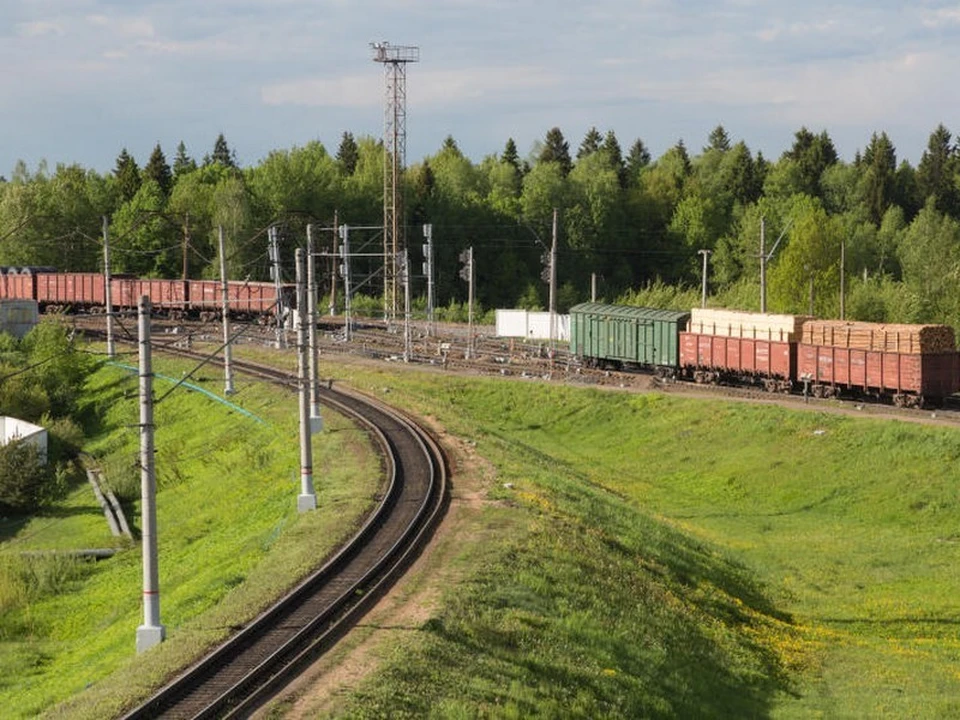 Погрузка леса на железной дороге в Смоленской области увеличилась в 2,5 раза в январе-августе. Фото: пресс-служба МЖД.