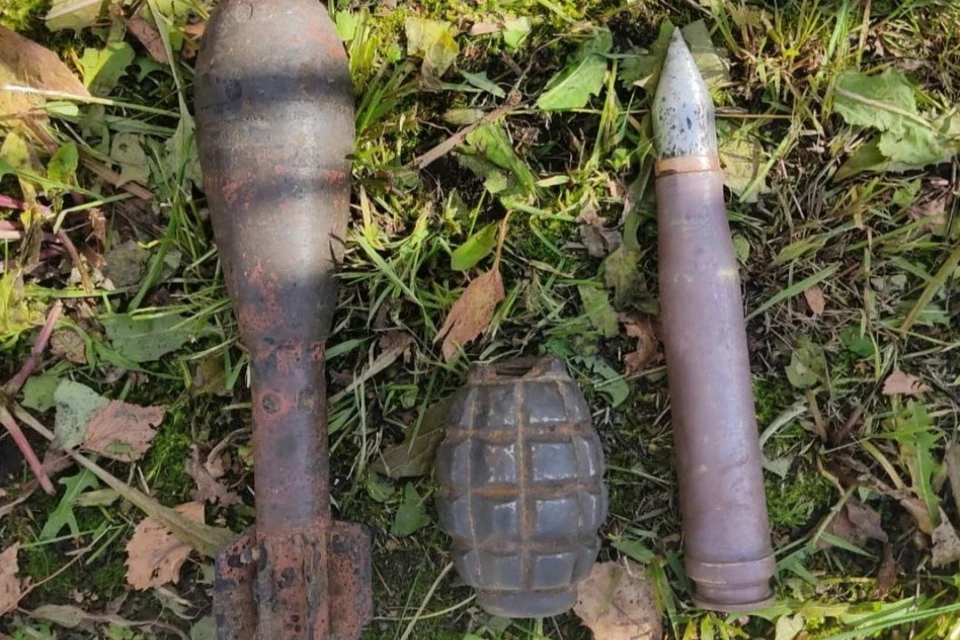 В Колпино женщина нашла в мусорном контейнере три пустых боеприпаса. Фото: ГУ Росгвардии по СПб и ЛО