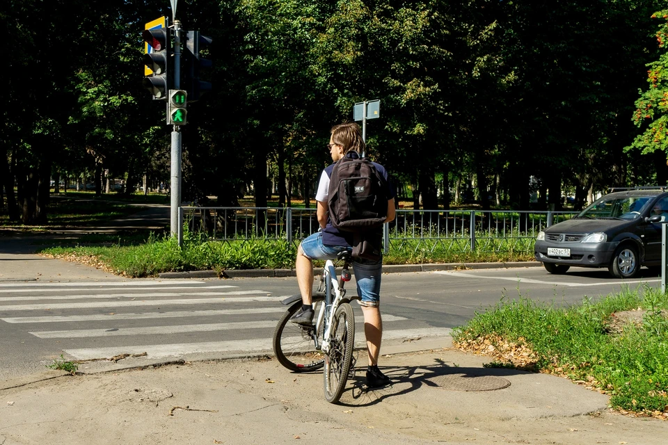 На улице Горького тоже появятся велодорожки